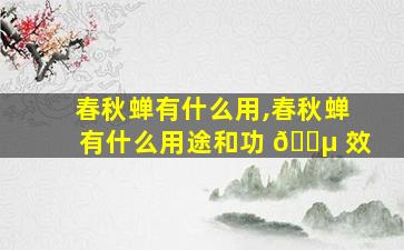 春秋蝉有什么用,春秋蝉有什么用途和功 🌵 效